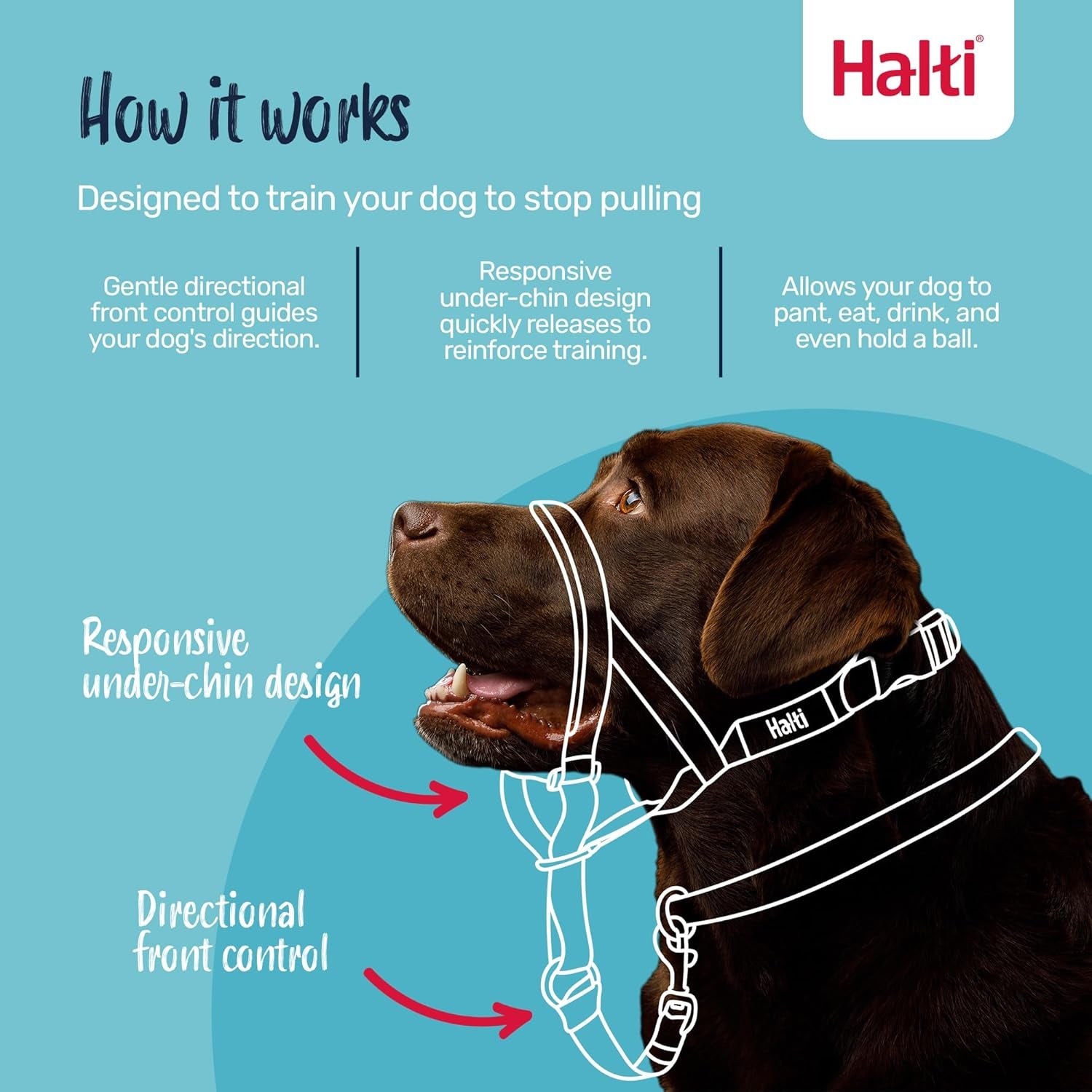Halti Head Collar for Dogs, Size 3, Black Color